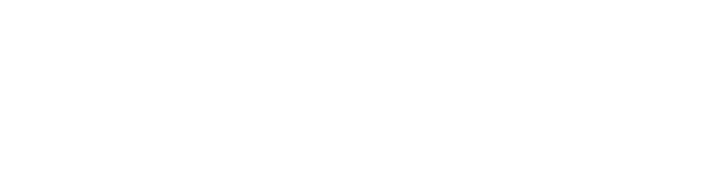 Pain & Vascular Institute logo-white