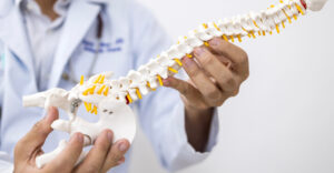 Orthopedic doctor or surgeon use spine anatomy model